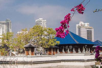 colombo-test-200x133